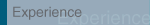 Experience